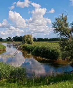 A beautiful view of Oderbruch