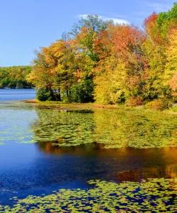 A beautiful view of Hidden Valley.
