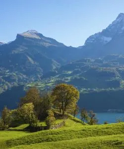 St. Gallen Regionの美しい景色
