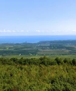 A beautiful view of Grey County