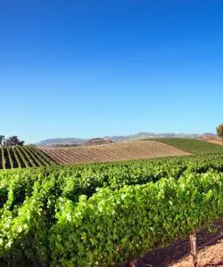 A beautiful view of Santa Ynez Valley.