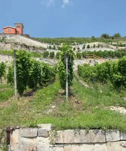 A beautiful view of Saale-Unstrut