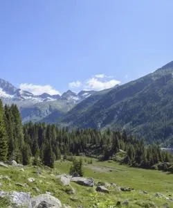 A beautiful view of Val Rendena