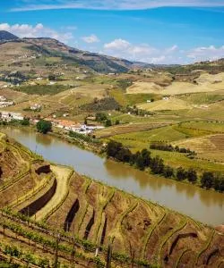 A beautiful view of Port Wine Route