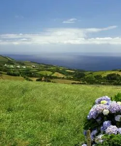 Uma bela vista de Ilha de São Jorge