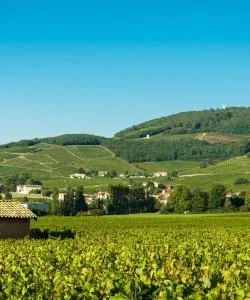 Cảnh đẹp ở Monts et Coteaux du Lyonnais