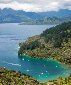 A beautiful view of Marlborough Sounds
