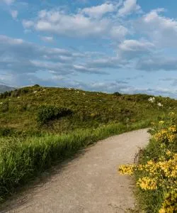 A beautiful view of Camino North Route