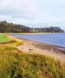 A beautiful view of Washington Coast