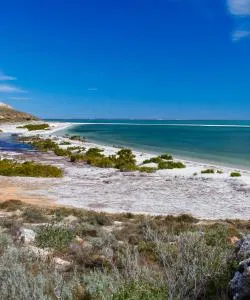 A beautiful view of Shark Bay Australia