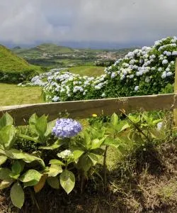 A beautiful view of Serra Gaucha
