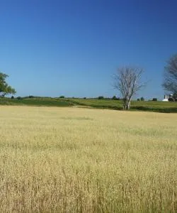 A beautiful view of Southwest Ontario