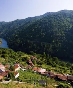 A beautiful view of Ourense
