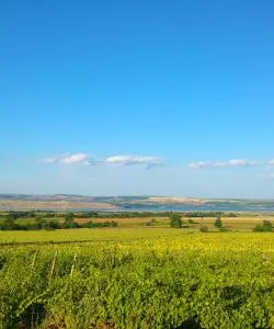 A beautiful view of Bacău.