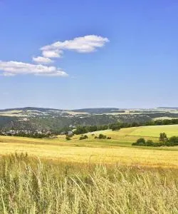 A beautiful view of Hunsrück.