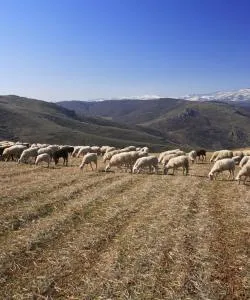 Uma bela vista de Trás-os-Montes e Alto Douro
