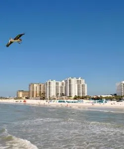 A beautiful view of Pinellas County.