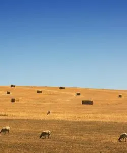 A beautiful view of Central West NSW