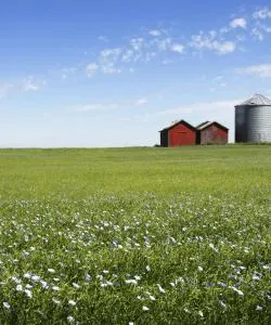 A beautiful view of Manitoba