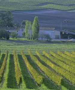 A beautiful view of Charente