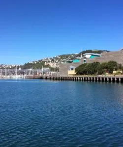 A beautiful view of Wellington