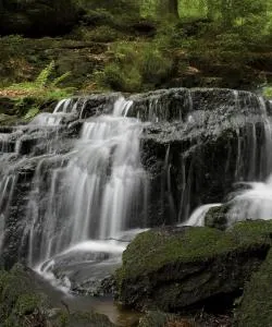 A beautiful view of Upper Palatinate Forest.
