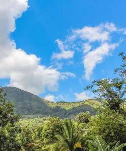 A beautiful view of Herrera