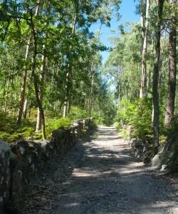 A beautiful view of Portuguese Route of Santiago