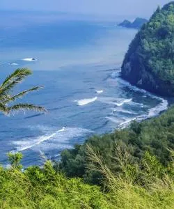 Una bonita panorámica de Kohala Coast
