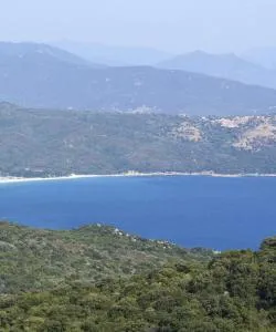 A beautiful view of Valinco Gulf.