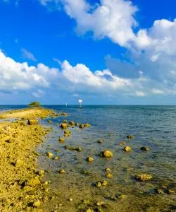 A beautiful view of Biscayne National Park.