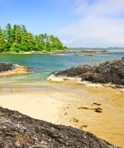 A beautiful view of Pacific Rim Vancouver Island.