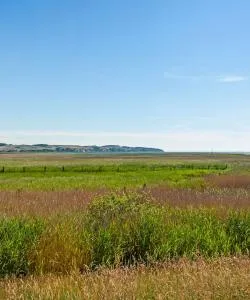 A beautiful view of Saaler Bodden