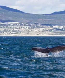 A beautiful view of Overberg
