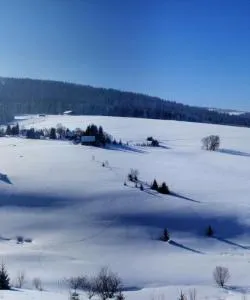 A beautiful view of Ore Mountains