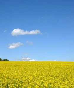 A beautiful view of Val d'Oise