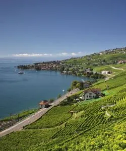 A beautiful view of Vaud