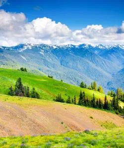 A beautiful view of Hurricane Ridge