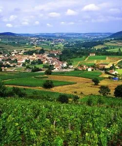 A beautiful view of Yonne's wine road .