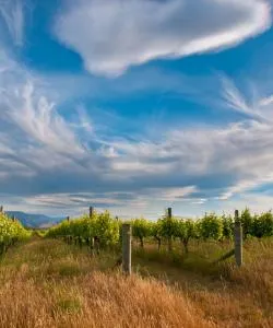 Een mooi uitzicht op Marlborough