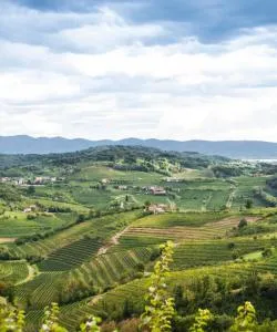 A beautiful view of Friuli Venezia Giulia