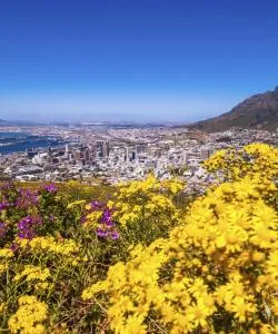 A beautiful view of Western Cape