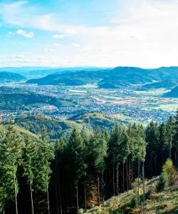 A beautiful view of Black Forest