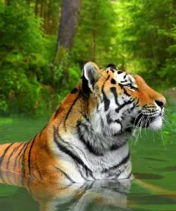 A beautiful view of Sumatra