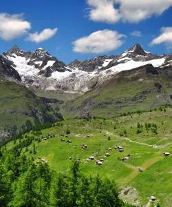 A beautiful view of Swiss Alps