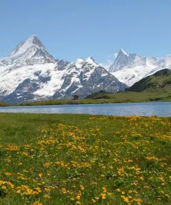 A beautiful view of Bernese Oberland