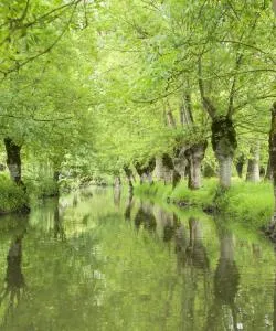 A beautiful view of Deux-Sèvres