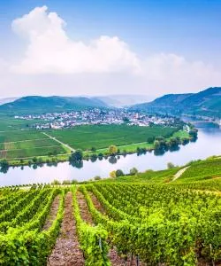 A beautiful view of German Mosel.