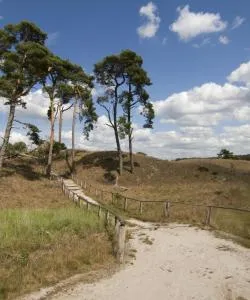 A beautiful view of Gelderland.