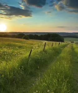 A beautiful view of Eifel